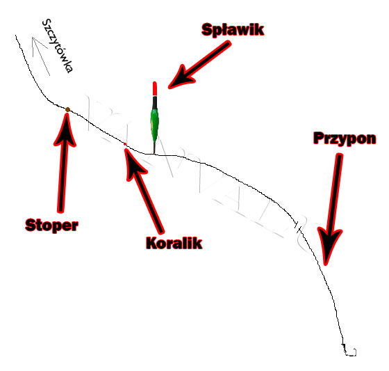 Spławik przelotowy