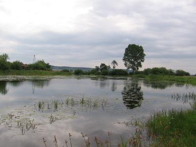 Łowisko karasia Łowisko karasia