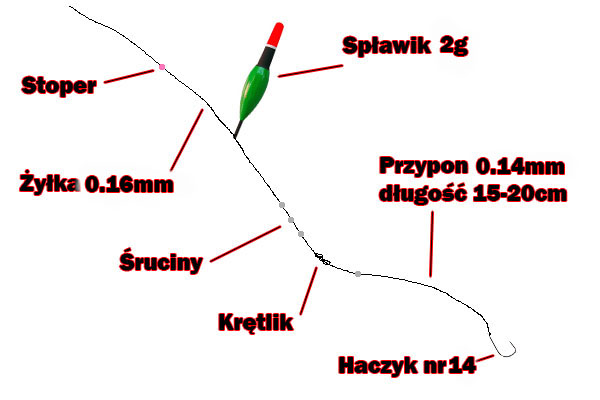 Zestaw na płoć Zestaw na płoć