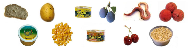 Przynęta na amura Przynęta na amura