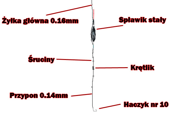 Zestaw ze spławikiem Zestaw ze spławikiem
